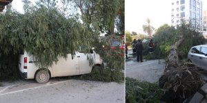 Fırtına zarara yol açtı