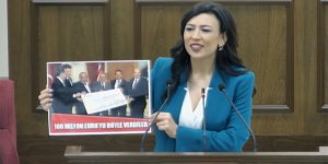 Özdenefe: “Ercan’ın Mart sonu teslimi mümkün görünmüyor”