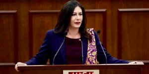 “Bu iş bir uçakla gelen yolcuya bakar”