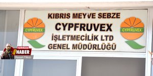 Cypfruvex’de ‘genel müdür’ gerilimi