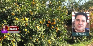 “Üreticiye DARBE”