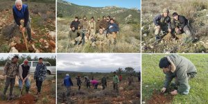 Avcılar doğaya 10 bin fidan dikiyor