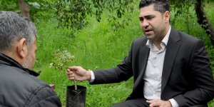 'Sakız ağacı Kıbrıs iklimine uygun'