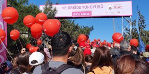 Geliri kanser araştırma çalışmalarına