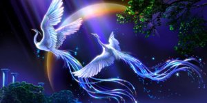 KADINLARIN ATEŞLE DANSI