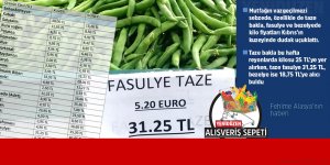 Taze fasulyenin  kilosu 31, 25 TL
