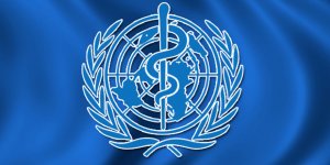 WHO: "Eldeki kanıtlar, virüsün kaynağının Çin'deki yarasalar olduğunu gösteriyor"