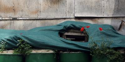 “Sadece bağımsız ülkeler WHO’ya üye olur”