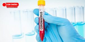 Güneyde 58 vaka, 1 ölüm daha