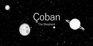 “Çoban”a ABD’den Bronz Remi Ödülü