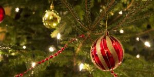 Yılbaşı ağaçları Geçitköy Barajından