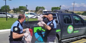 Değirmenlik'te "Dayanışma" örneği