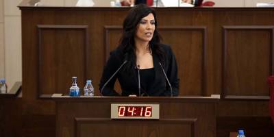 Özdenefe: "Hükümet programı ciddiyetsiz şekilde hazırlanmış..."