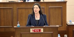 "Açılma öncesinde bağışıklık oranı tespit edilmeli”