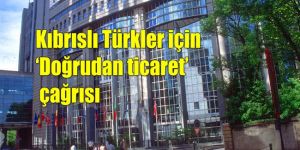 APnin Türkiye Raporu  taslağı yayınlandı