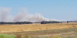 Gaziköy-Paşaköy arasında arazi yangını