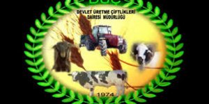 Devlet Üretme Çiftlikleri’nden kasaplık hayvan satışı