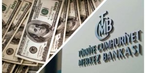 Reuters: Lira fırtınada ilerliyor