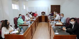 “Mesleki Yeterlilik Yasa Tasarısı” komitede görüşüldü