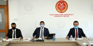 Borç İlişkilerinde Uygulanacak Kuralları Düzenleyen Yasa Önerisi komitede görüşüldü