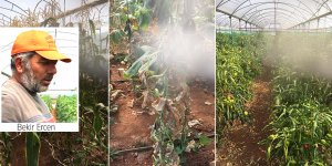 “7 dönüm sebzem kurudu”