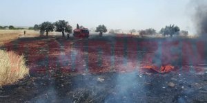 Serdarlı'daki yangınlarla ilgili tutuklama