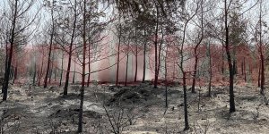 Kameralar yıllardır devre dışı