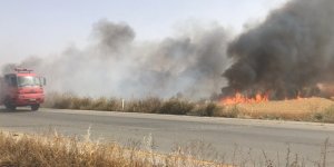 Elektrik kablolarından çıkan kıvılcım 3 dönüm arpayı yaktı