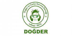 “Doğayı, bitkileri ve milyonlarca canlıyı yok ettik”