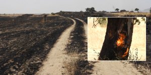 Güneyde gündem: Bir günde 34’ten fazla yangın…