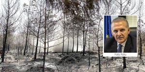 “Yaşanan büyük felaketten ötürü üzgünüz”