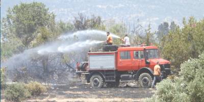 Yangında meyve ağaçları yandı