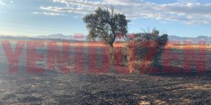 Haspolat'ta yine alevler yükseldi