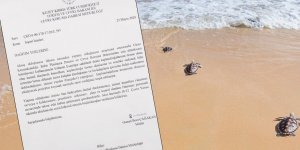 Esentepe’de sahile beton dökme girişimi