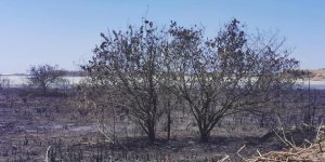 Larnaka’da yangın