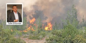 "Organizasyon, koordinasyon ve bilime dayanan bir yönetim anlayışı..."