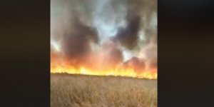 Bir yangın da Paşaköy'de