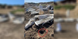 “Yumurtlama alanına lobi ve bar”