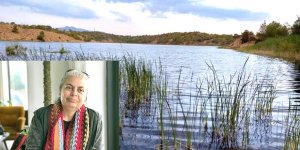 “Sulak alanların korunması zorunluluktur”