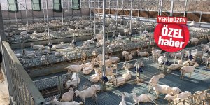 İçte daralma, dışta durma noktası!