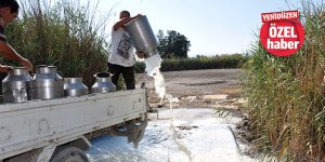 “Günde 80- 100 ton süt dökülecek"