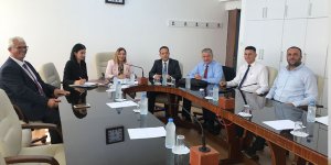 Orman yangınlarıyla ilgili komite kuruldu