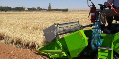 Ülke koşullarına uygun arpa çeşidinin tohumluğu 2022’de çiftçiye arz edilecek