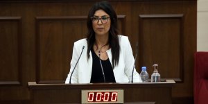 Özdenefe: “Herkes saf, Başbakan bize Meclis’te patırtı dersi verecek”