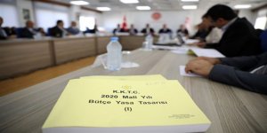 2020 bütçesine ek ödenek için yasa gücünde ikinci kararname…