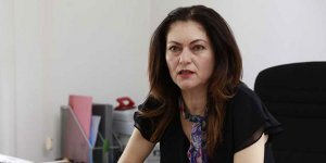 Sağlık Bakanlığı “İngilizce tercümeyi” hazırlayamadı, toplantı ertelendi