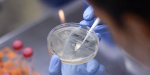 Covıd- 19 aşısı için Noel müjdesi