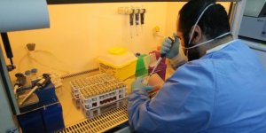 Güneyde 11 yeni vaka