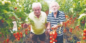  Çöpten sebze meyve topluyorlar…