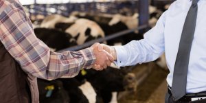 Creditwest Bank’tan üreticilere ihtiyaç kredisi